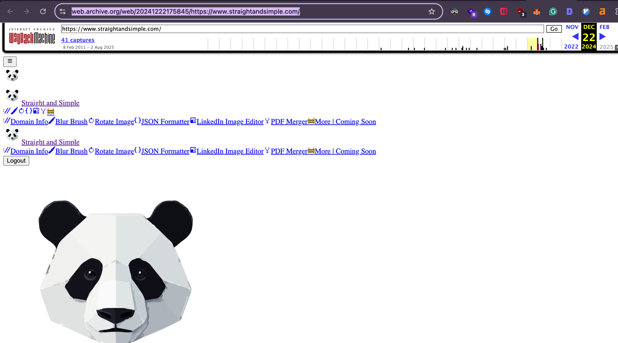 Wayback Machine capture of straightandsimple.com from December 22, 2024, showing the nav with Domain Info, Blur Brush, Rotate Image, JSON Formatter, LinkedIn Image Editor, PDF Merger and More Coming Soon, above a panda logo